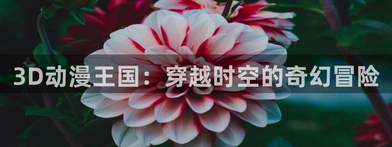 58动漫官网免费进入：3D动漫王国：穿越时空的奇幻冒险