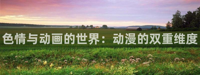 58动漫看：色情与动画的世界：动漫的双重维度